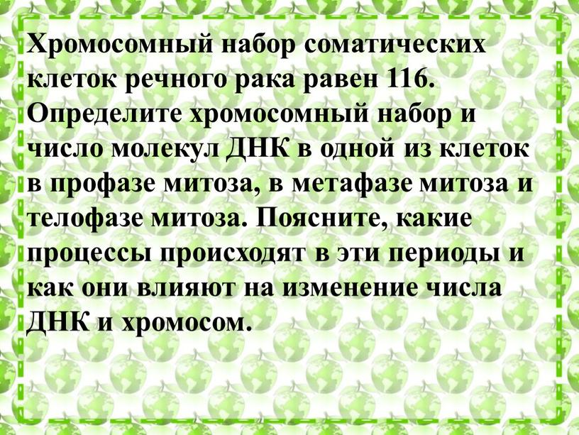 Хромосомный набор соматических клеток речного рака равен 116