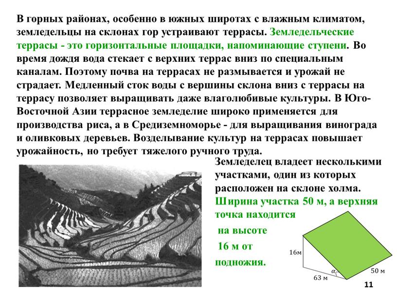 В горных районах, особенно в южных широтах с влажным климатом, земледельцы на склонах гор устраивают террасы