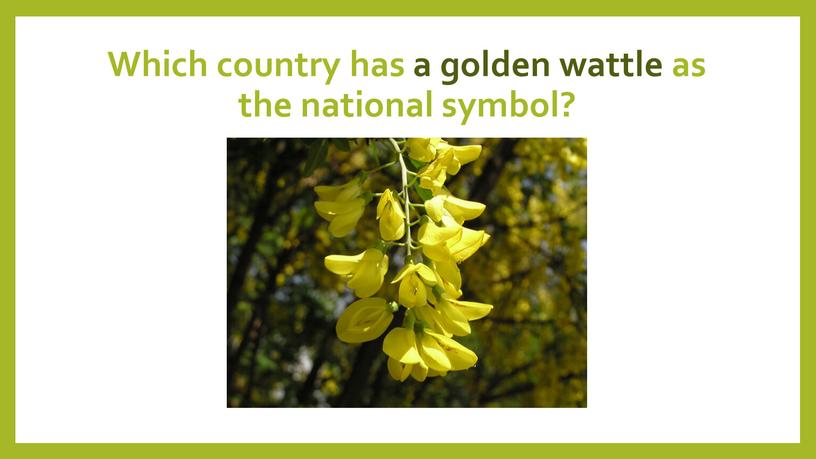 Which country has a golden wattle as the national symbol?