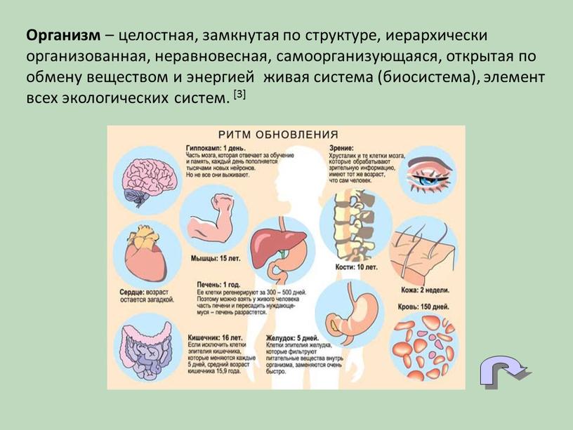 Организм – целостная, замкнутая по структуре, иерархически организованная, неравновесная, самоорганизующаяся, открытая по обмену веществом и энергией живая система (биосистема), элемент всех экологических систем