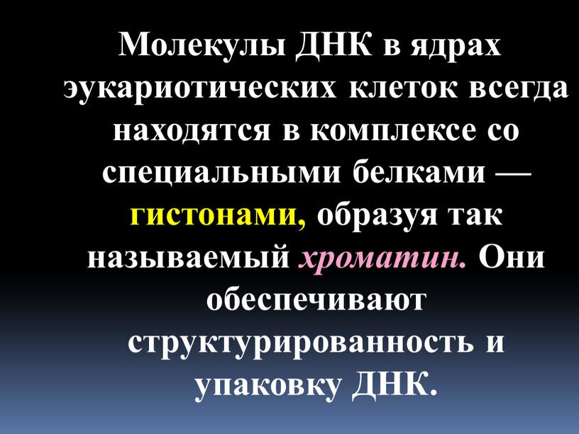 Молекулы ДНК в ядрах эукариотических клеток всегда находятся в комплексе со специальными белками — гистонами, образуя так называемый хроматин