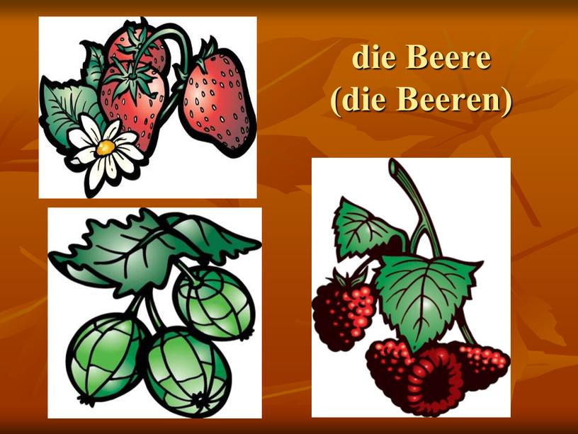 die Beere (die Beeren)