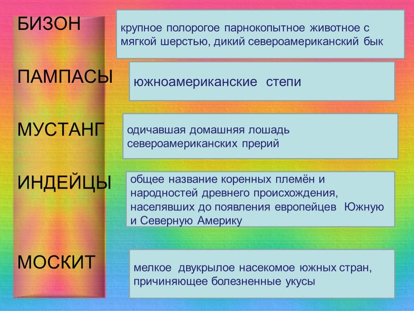 БИЗОН ПАМПАСЫ МУСТАНГ ИНДЕЙЦЫ