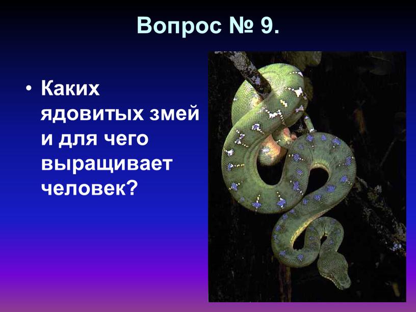 Вопрос № 9. Каких ядовитых змей и для чего выращивает человек?