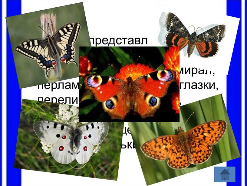 Бабочки представлены следующими видами: махаон, подалирий, аполлон, адмирал, перламутровки, павлиноглазки, переливницы, пяденицы, совки, мохнатые шелкопряды, изящные пальцекрылки, ночные мотыльки и бражники
