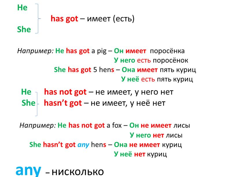 He has got – имеет (есть)