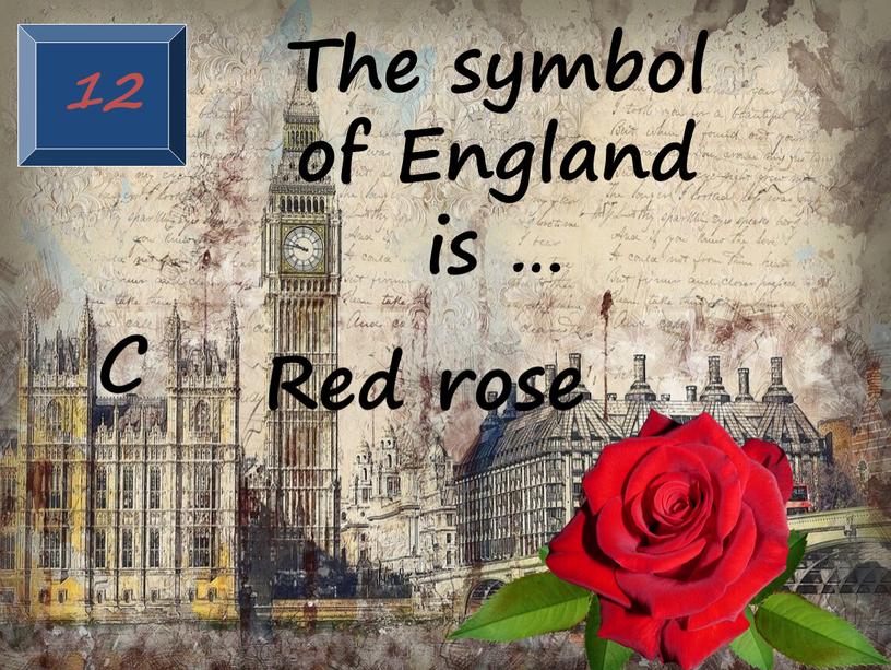 The symbol of England is … C Red rose