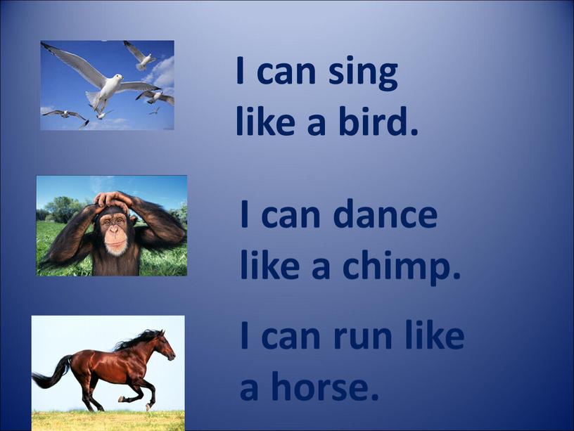 I can sing like a bird. I can dance like a chimp