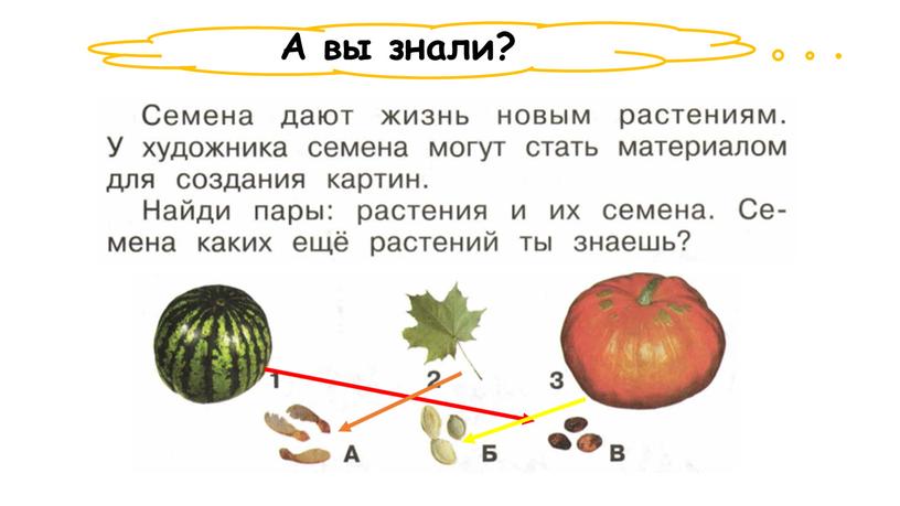 А вы знали?