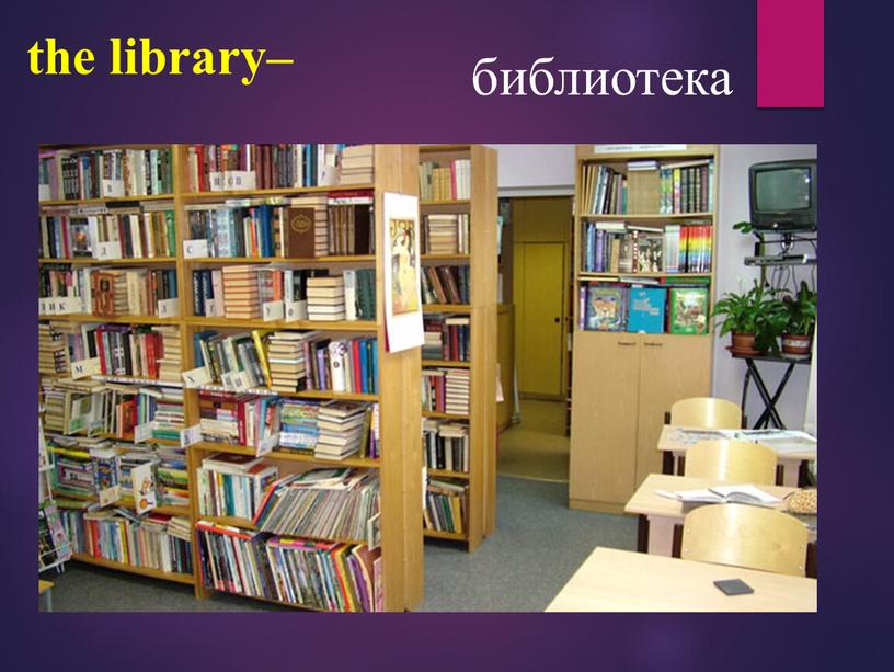 the library– библиотека