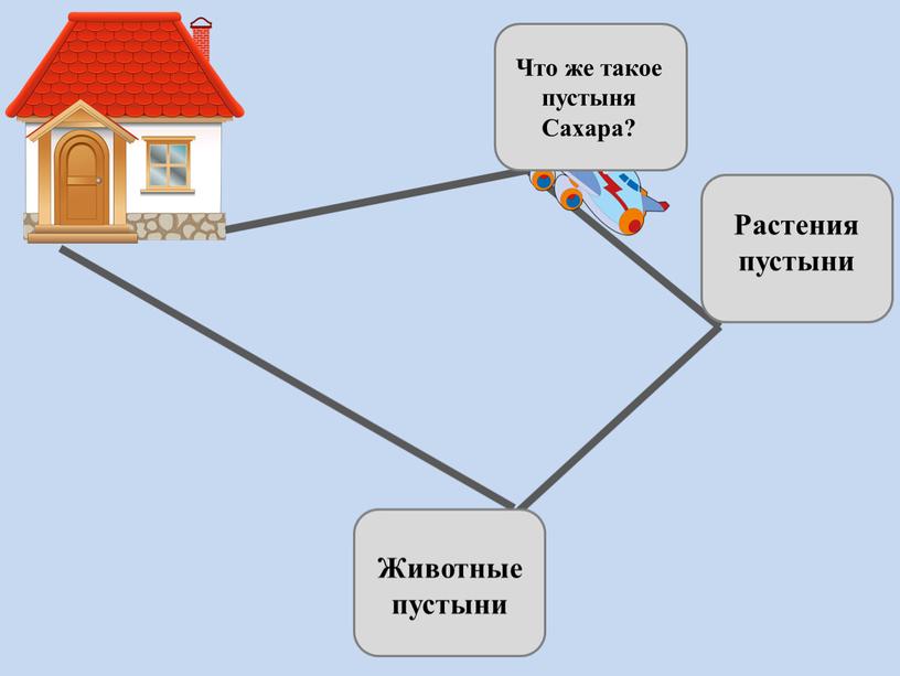 Что же такое пустыня Сахара? Растения пустыни