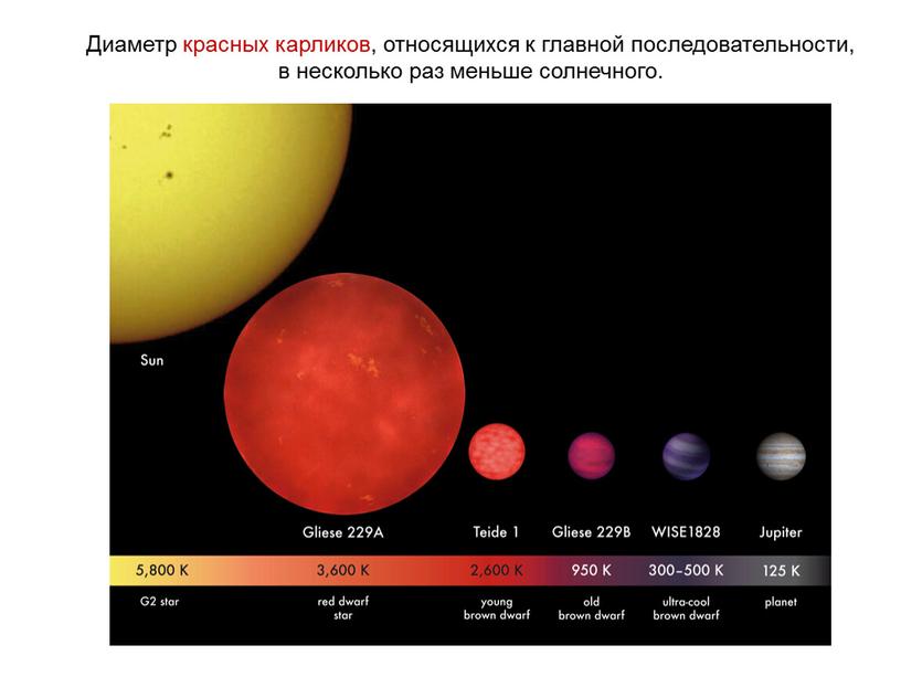 Диаметр красных карликов, относящихся к главной последовательности, в несколько раз меньше солнечного