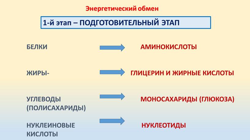 Энергетический обмен 1-й этап –