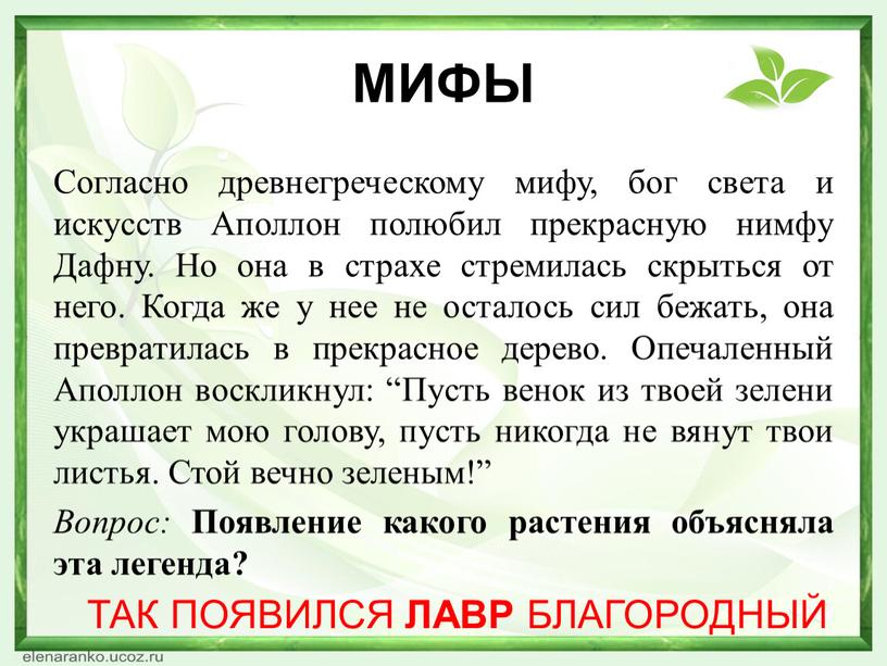 Какая нить в природе самая тонкая. Смотреть фото Какая нить в природе самая тонкая. Смотреть картинку Какая нить в природе самая тонкая. Картинка про Какая нить в природе самая тонкая. Фото Какая нить в природе самая тонкая