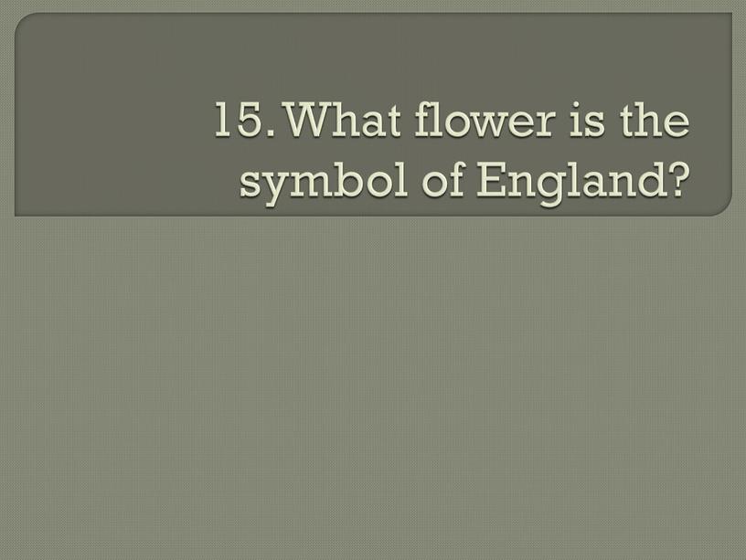 What flower is the symbol of England?