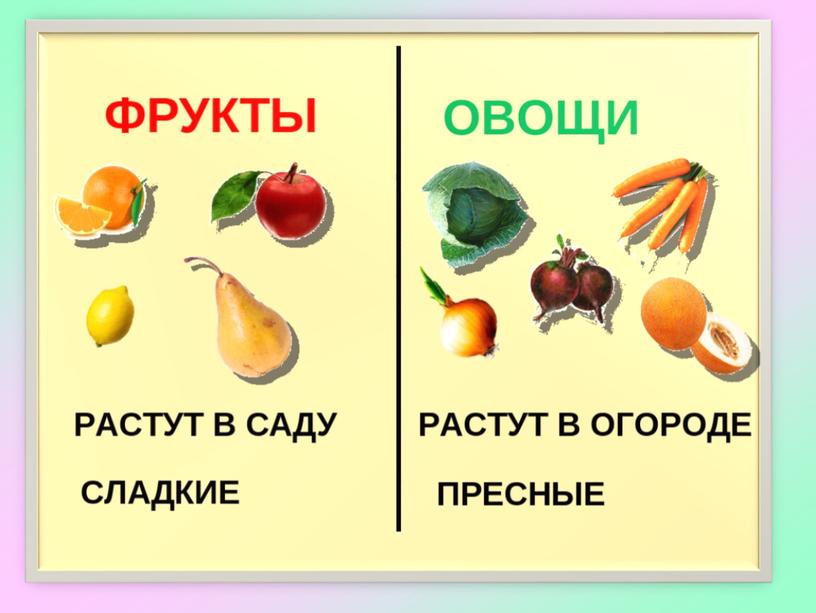 Презентация на тему: "Различение растений огорода (овощи), сада (фрукты, ягоды)