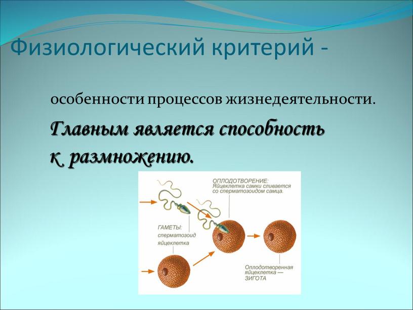 Физиологический критерий - особенности процессов жизнедеятельности