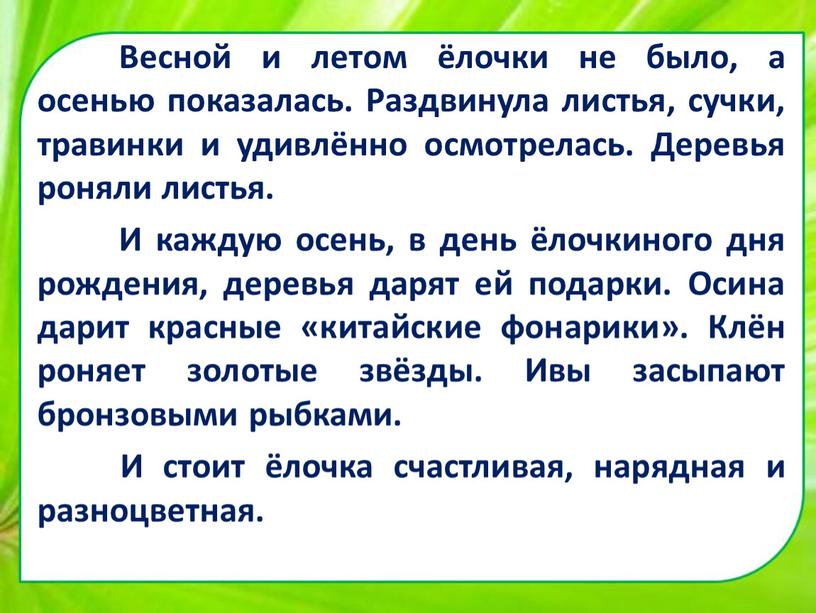 Весной и летом ёлочки не было, а осенью показалась