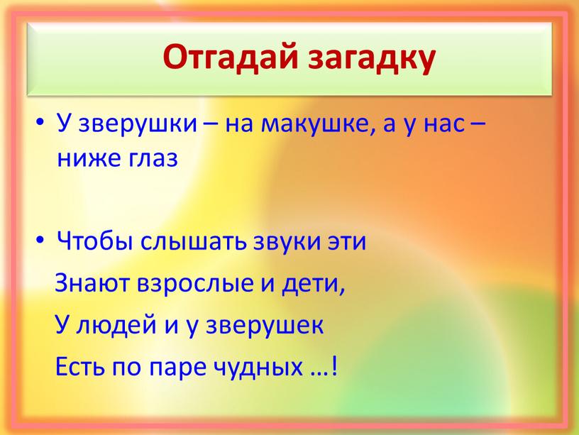 Отгадай загадку У зверушки – на макушке, а у нас – ниже глаз