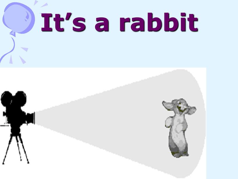 It’s a rabbit