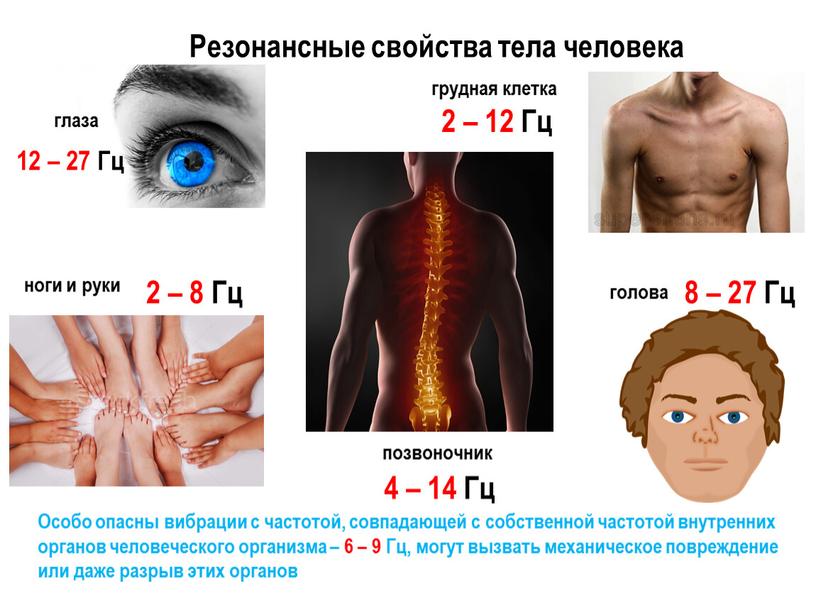 Резонансные свойства тела человека глаза грудная клетка 2 – 12