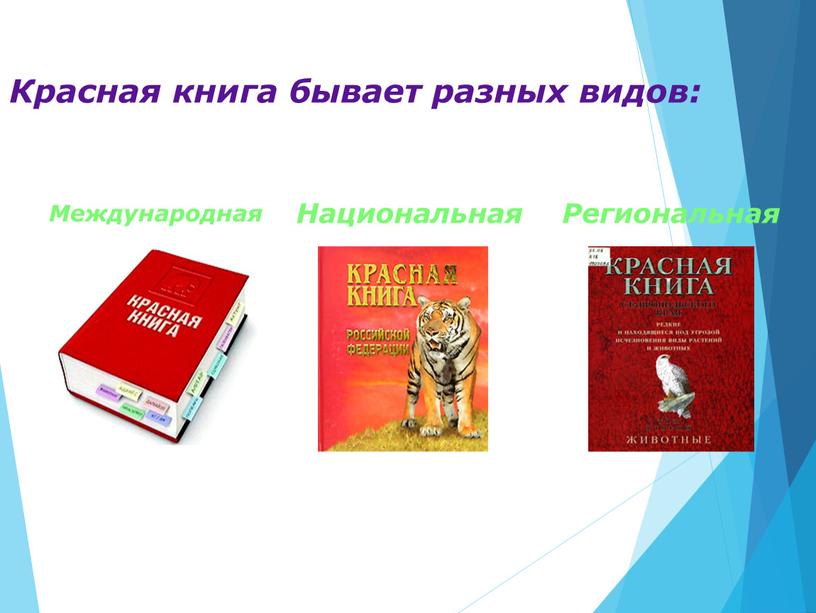 Красная книга бывает разных видов: