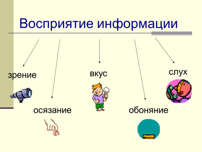 Восприятие информации зрение слух вкус обоняние осязание