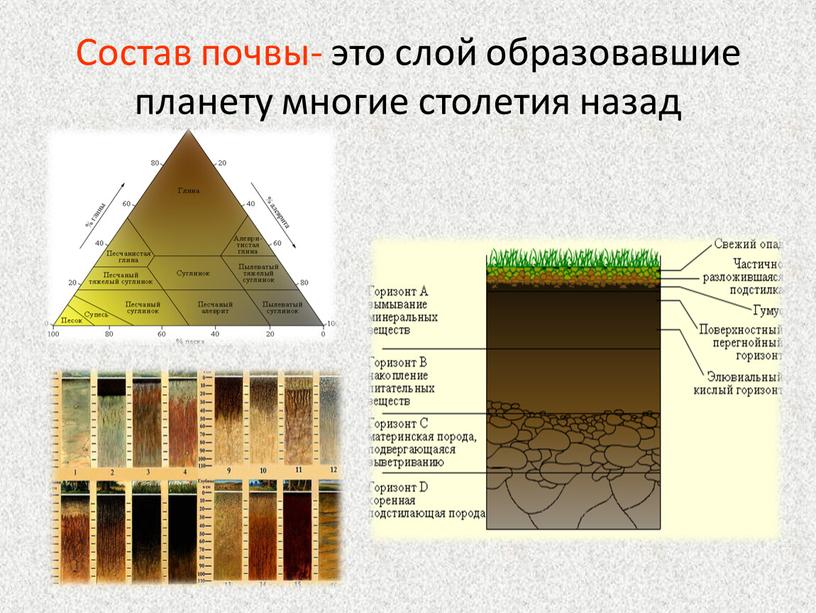 Состав почвы- это слой образовавшие планету многие столетия назад