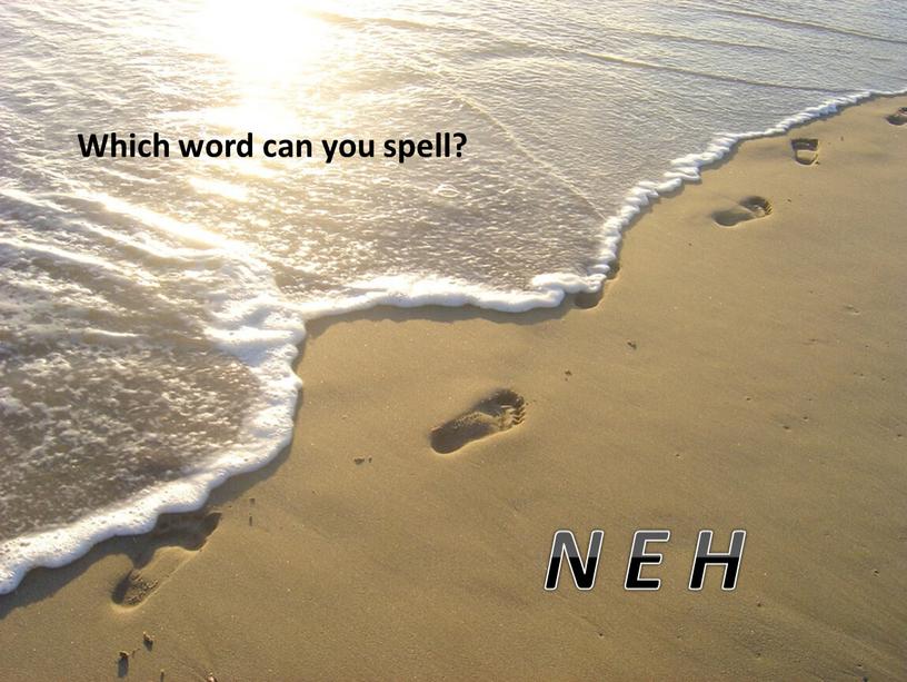 Which word can you spell? N E H