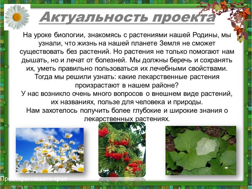 Актуальность проекта На уроке биологии, знакомясь с растениями нашей