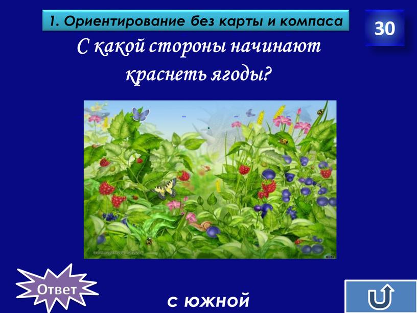 С какой стороны начинают краснеть ягоды? 30 1