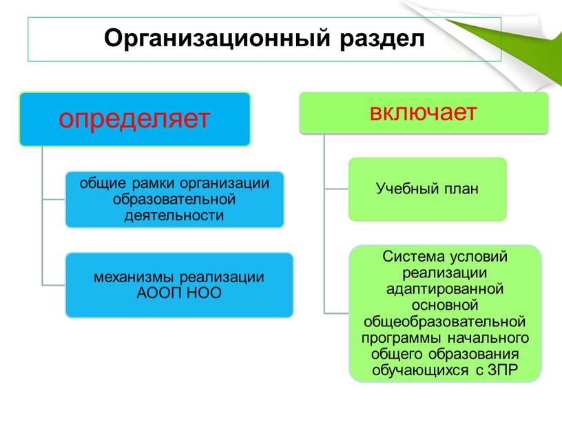 Организационный раздел