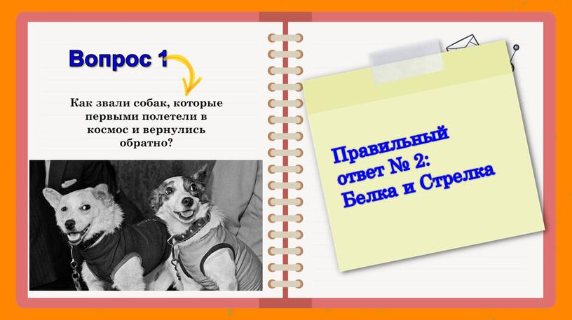 Вопрос 1 1. Лайка и Майка Как звали собак, которые первыми полетели в космос и вернулись обратно? 2