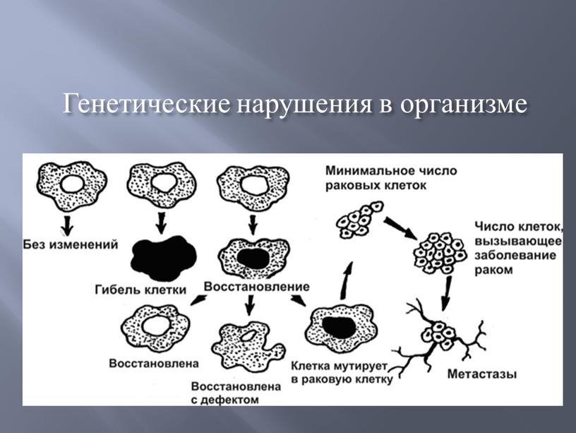 Генетические нарушения в организме