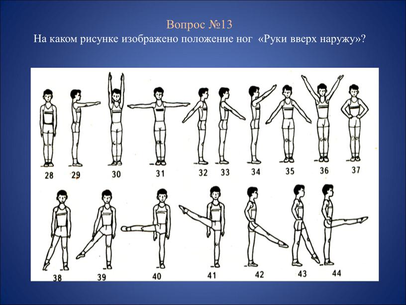 в какую сторону осуществляется поворот головы при команде равняйсь