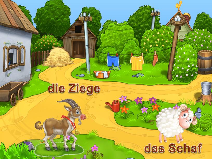 das Schaf die Ziege