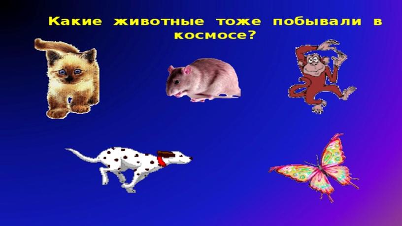 Внеурочная деятельность. Викторина о космосе.