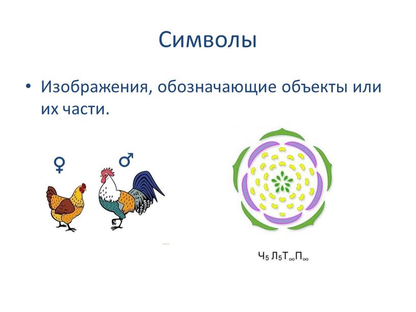 Символы Изображения, обозначающие объекты или их части