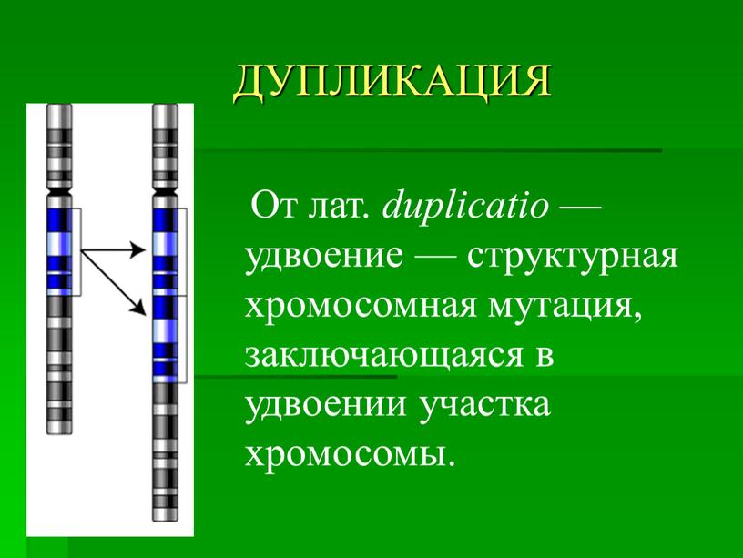 ДУПЛИКАЦИЯ От лат. duplicatio — удвоение — структурная хромосомная мутация, заключающаяся в удвоении участка хромосомы