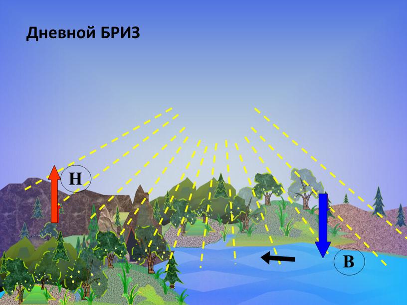 Н В Дневной БРИЗ