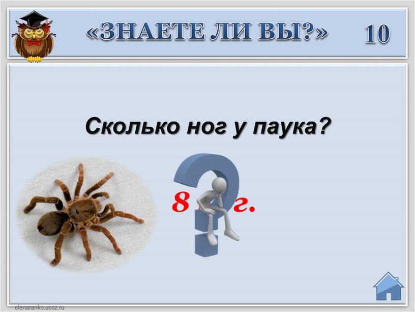 Сколько ног у паука? «ЗНАЕТЕ