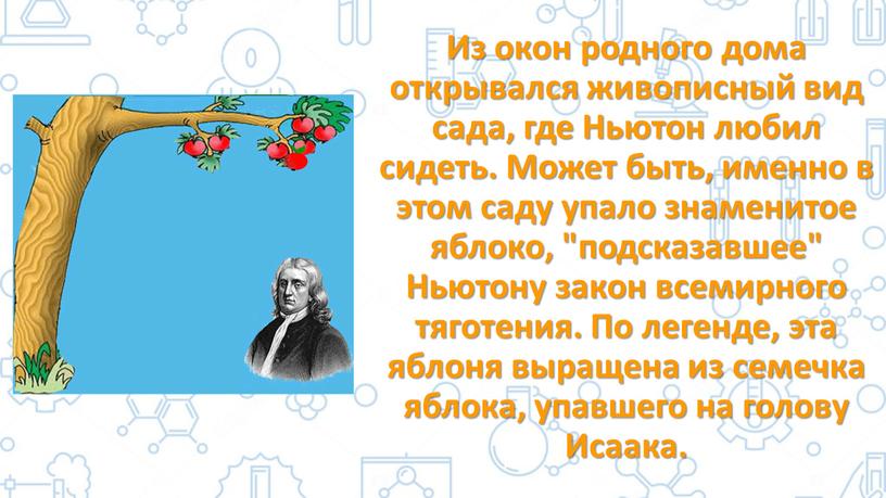 Из окон родного дома открывался живописный вид сада, где