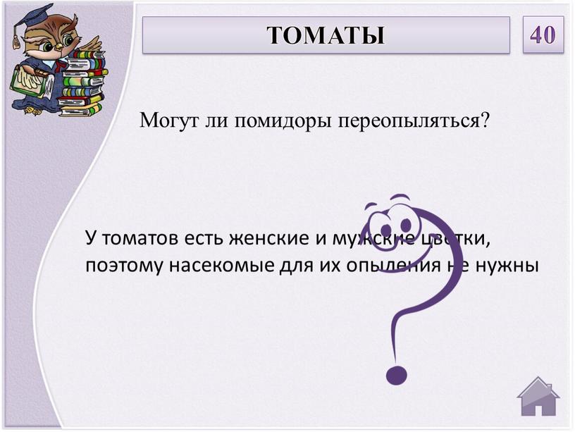 У томатов есть женские и мужские цветки, поэтому насекомые для их опыления не нужны