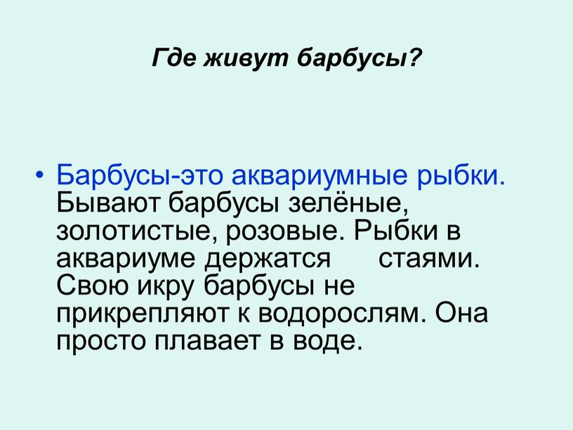 Где живут барбусы? Барбусы-это аквариумные рыбки