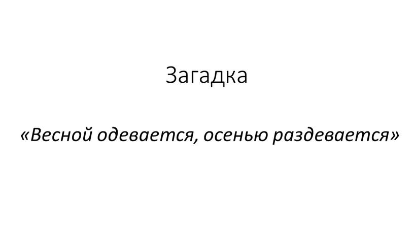 Загадка «Весной одевается, осенью раздевается»