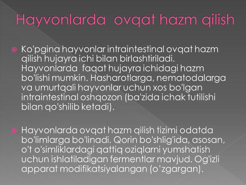 Hayvonlarda ovqat hazm qilish