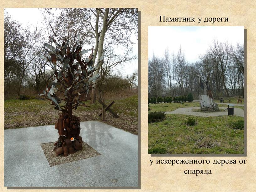 Памятник у дороги у искореженного дерева от снаряда