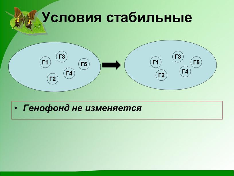 Условия стабильные Генофонд не изменяется