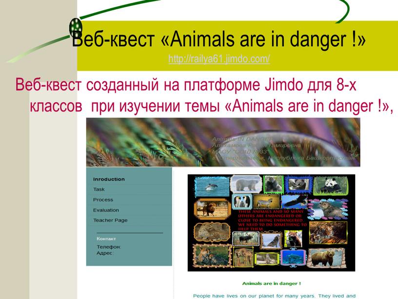 Веб-квест «Animals are in danger !» http://railya61
