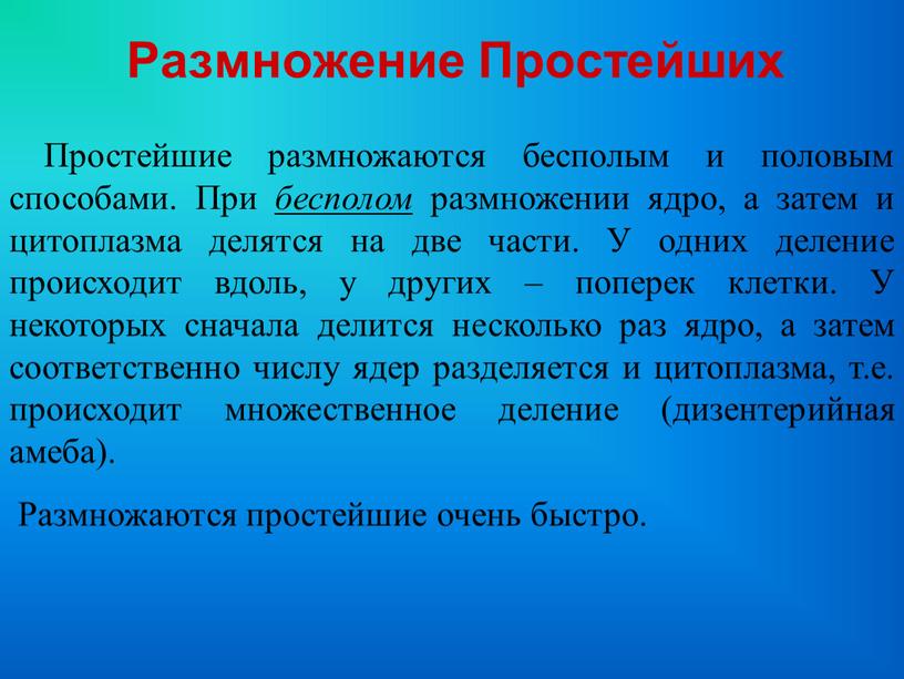 Размножение Простейших Простейшие размножаются бесполым и половым способами